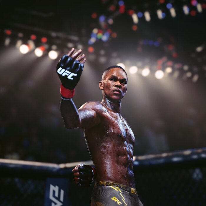 wp13064873-ufc-5-wallpapers (1)